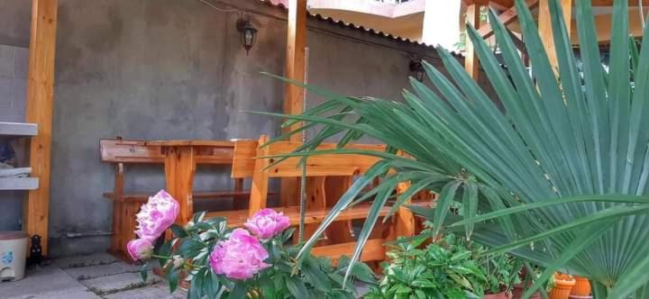 Family Hotel Bohemi II Primorsko Dış mekan fotoğraf